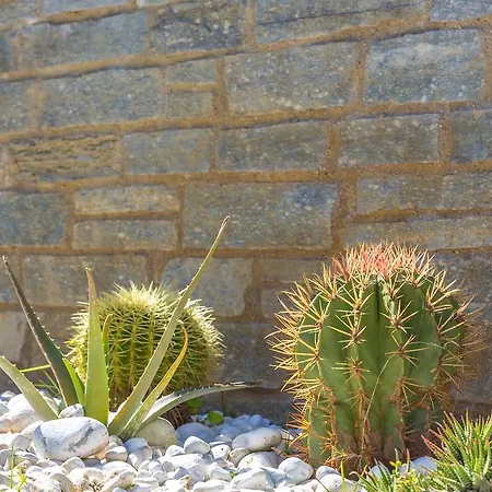 Holidays - Rimediu Apartamento