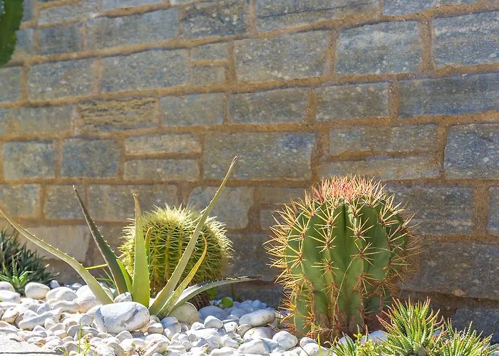 Holidays - Rimediu Appartamento