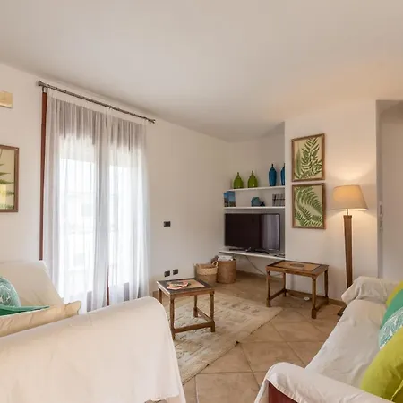 Holidays - Rimediu أروسييْ