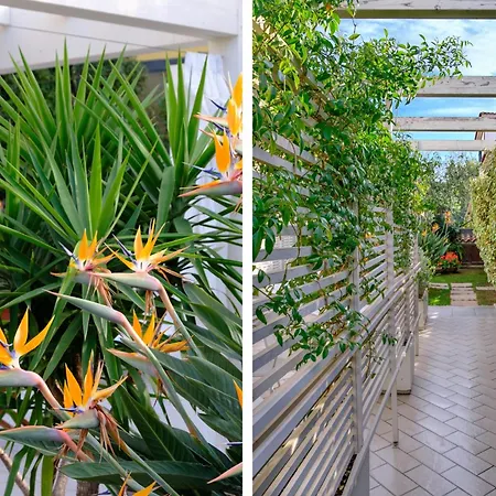Apartamento Holidays - Rimediu